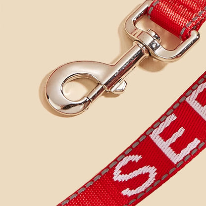 2.5*120Cm Service Dog Leash with Neoprene Handle, Animal Support, Embroidery Letter, Reflective Dog Lead