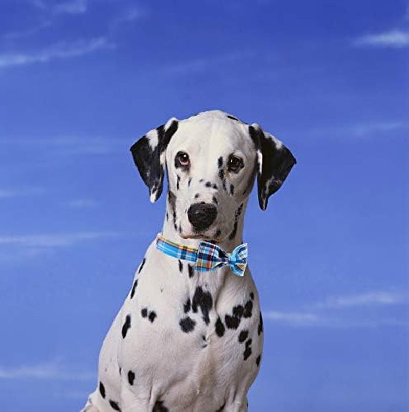 Plaid Dog Collar with Bow Pet Gift Adjustable Soft and Comfy Bowtie Collars for Small Medium Large Dogs