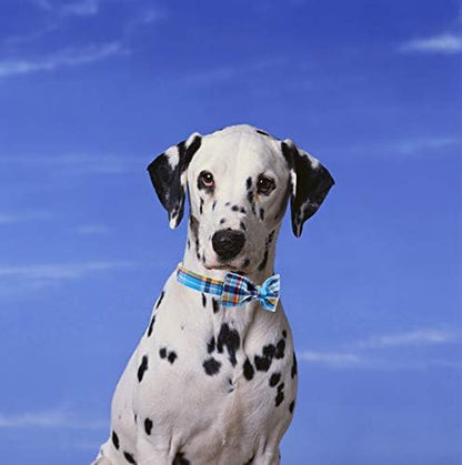 Plaid Dog Collar with Bow Pet Gift Adjustable Soft and Comfy Bowtie Collars for Small Medium Large Dogs