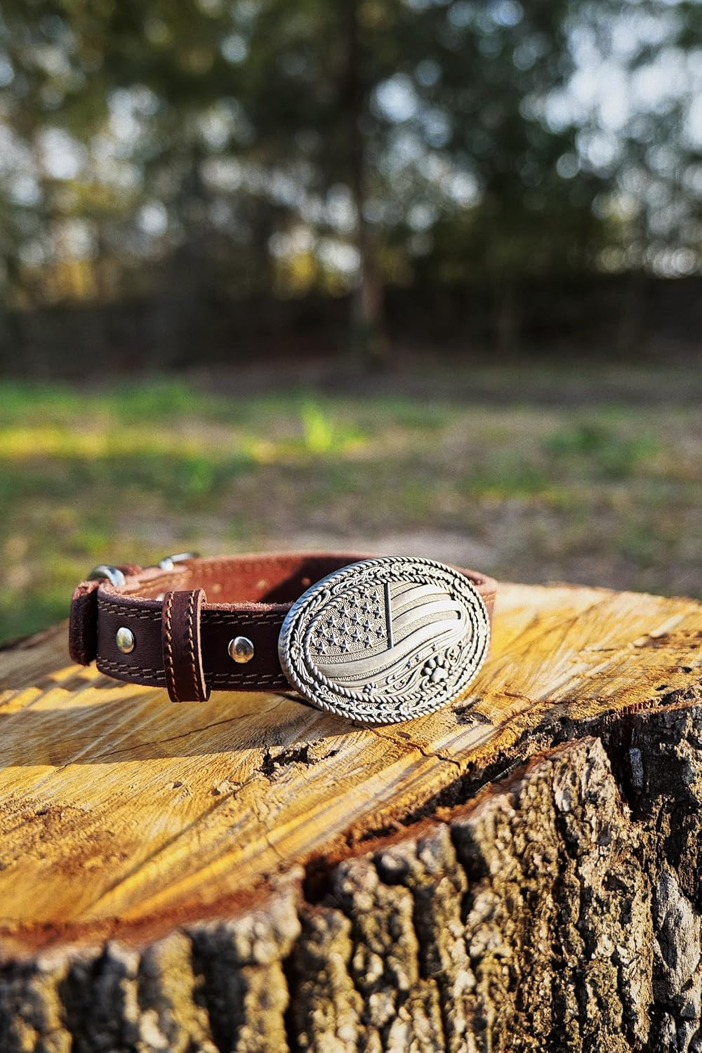 Western Cowboy Leather Dog Collar for Medium/Large Dogs, 14-18 Inch Neck, Premium Grain Leather, Heavy Duty Stainless Steel Hardware, Zinc Alloy Buckle