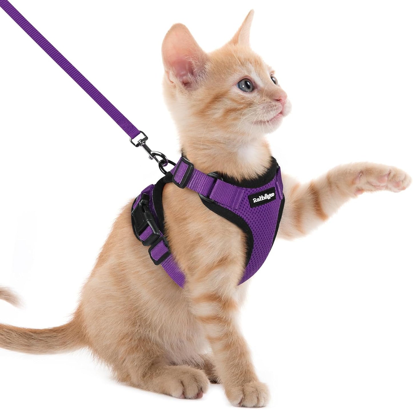 Cat Harness and Leash for Walking, Escape Proof Soft Adjustable Vest Harnesses for Cats, Easy Control Breathable Reflective Strips Jacket, Black, XS