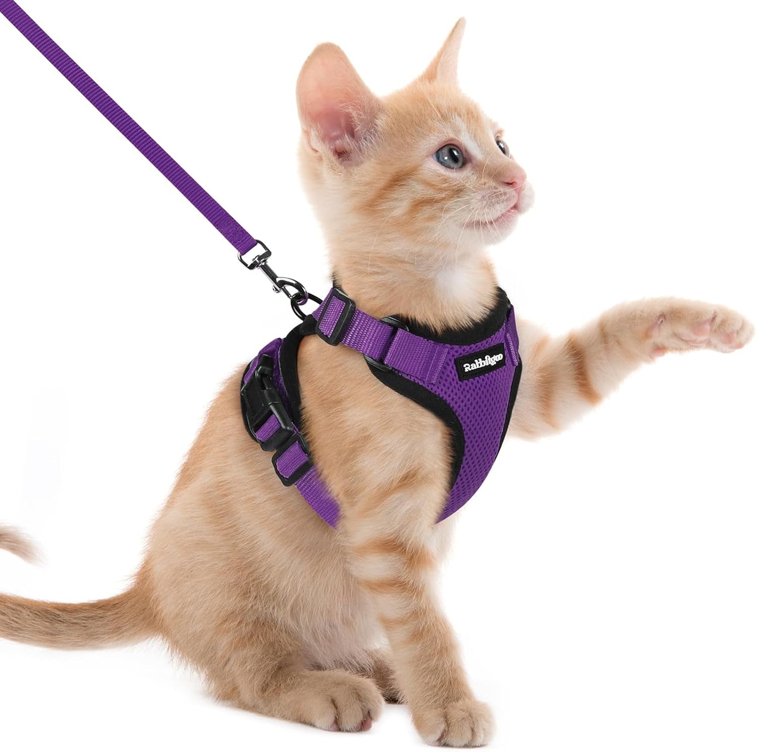 Cat Harness and Leash for Walking, Escape Proof Soft Adjustable Vest Harnesses for Cats, Easy Control Breathable Reflective Strips Jacket, Black, XS