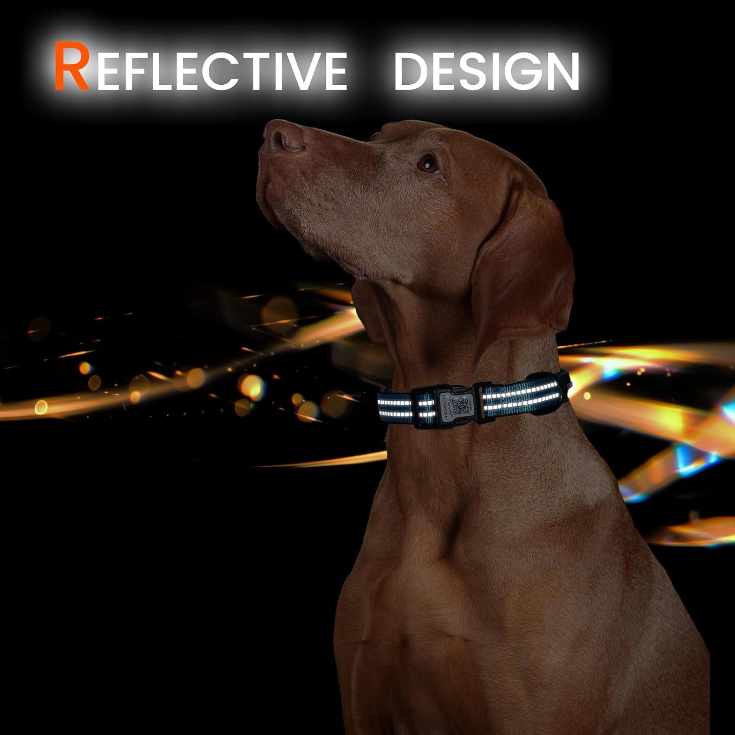 Reflective Dog Collar with QR Code Tag, Personalized Dog Collar, Safety Night Visibility, Anti-Loss Function (Blue, Medium)