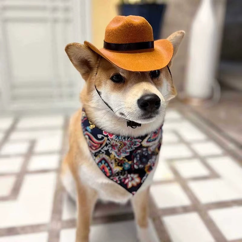 Pet Hat Set Western Cowboy Suitable for Cats and Dogs Fashionable Pet Accessory Cat Triangle Scarf