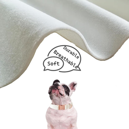 Velvet Dog Collar for Small Medium Dog, Durable Soft Velvet, White Green Orange Brown for Girl Boy, Adjustable Metal Buckle Puppy Collar Suitable for Running, Playing and Weddings. (Brown, XS)