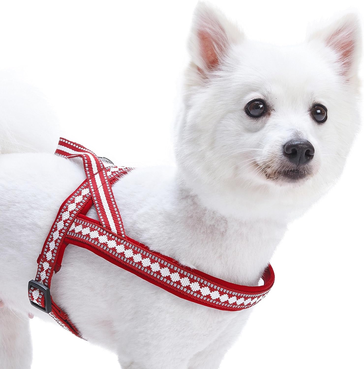 Reflective Jacquard Dog Collar with Neoprene Padding & Metal Buckle | Soft & Adjustable Safety Collar - Olive, Neck 13-16.5", for Medium Breed
