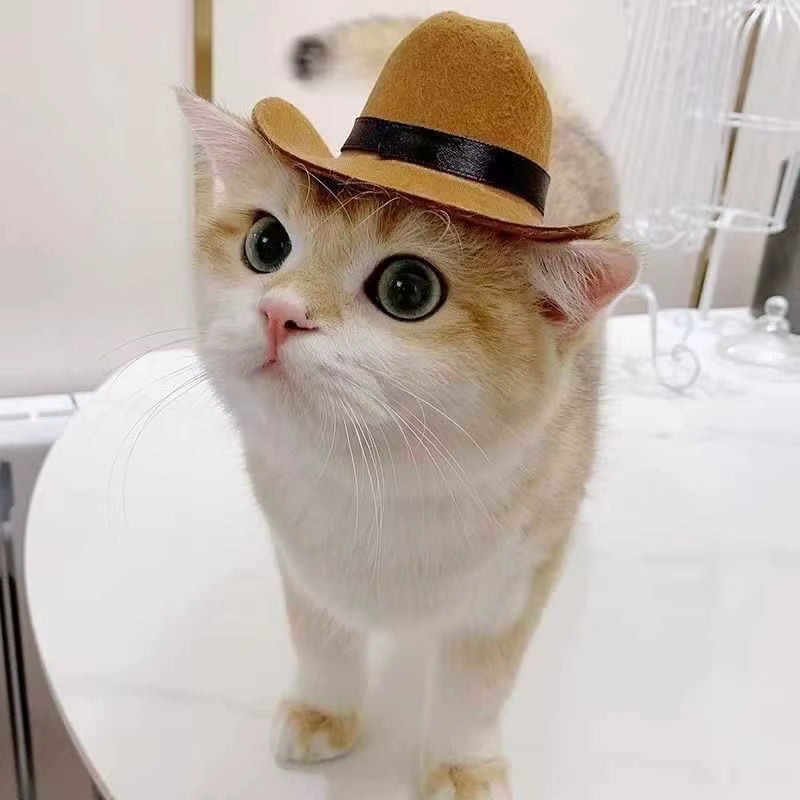 Pet Hat Set Western Cowboy Suitable for Cats and Dogs Fashionable Pet Accessory Cat Triangle Scarf