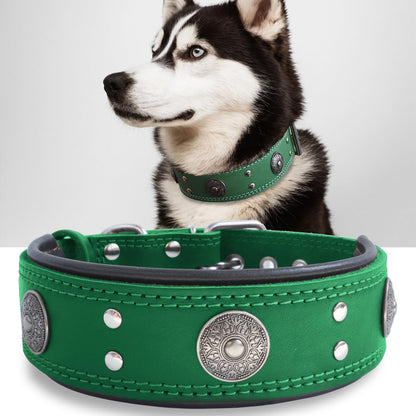 Leather Dog Collar, 2 Inches Wide Heavy Duty Genuine Leather Collars, Handmade, Soft, and Luxury, Eye-Catching Best Choice for Large and Medium Breed Dogs, Orange 18.5-22.5 In
