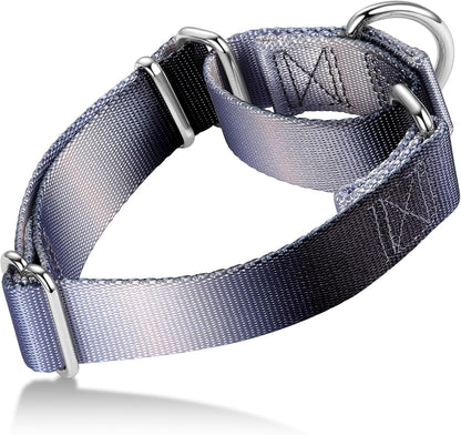 Martingale Dog Collar Colorful Gradient Fashionable - Anti-Escape Soft Durable Pets Collar for Walking Training Outdoor Daily Use -Medium,Turquoise Gradient