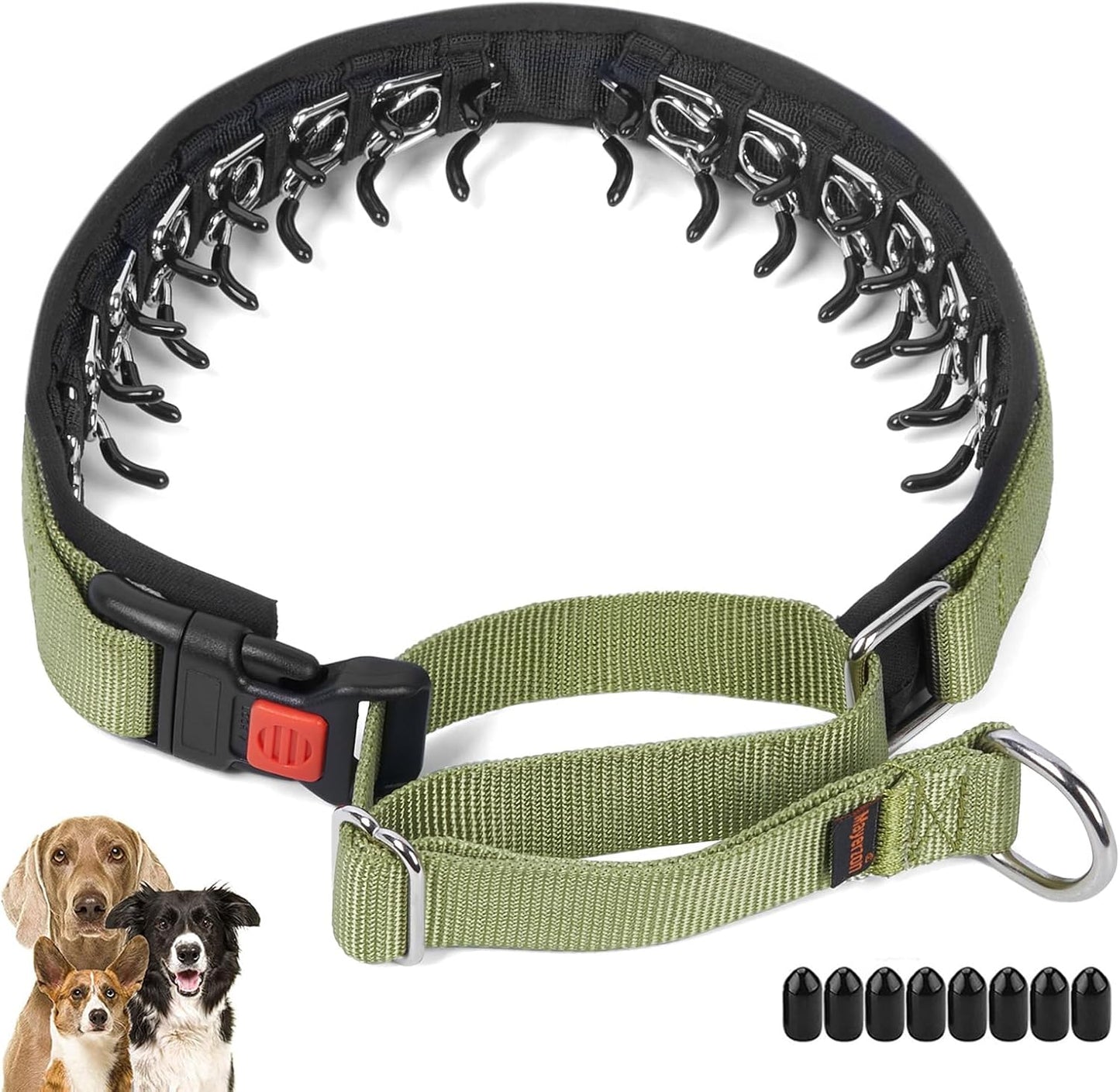 No Pull Dog Collar, Patented Martingale Collar for Small Medium Large Dogs with Buckle and Heavy Duty Nylon for Walking Training Hunting, Safe and Easy to Use(M, Green)