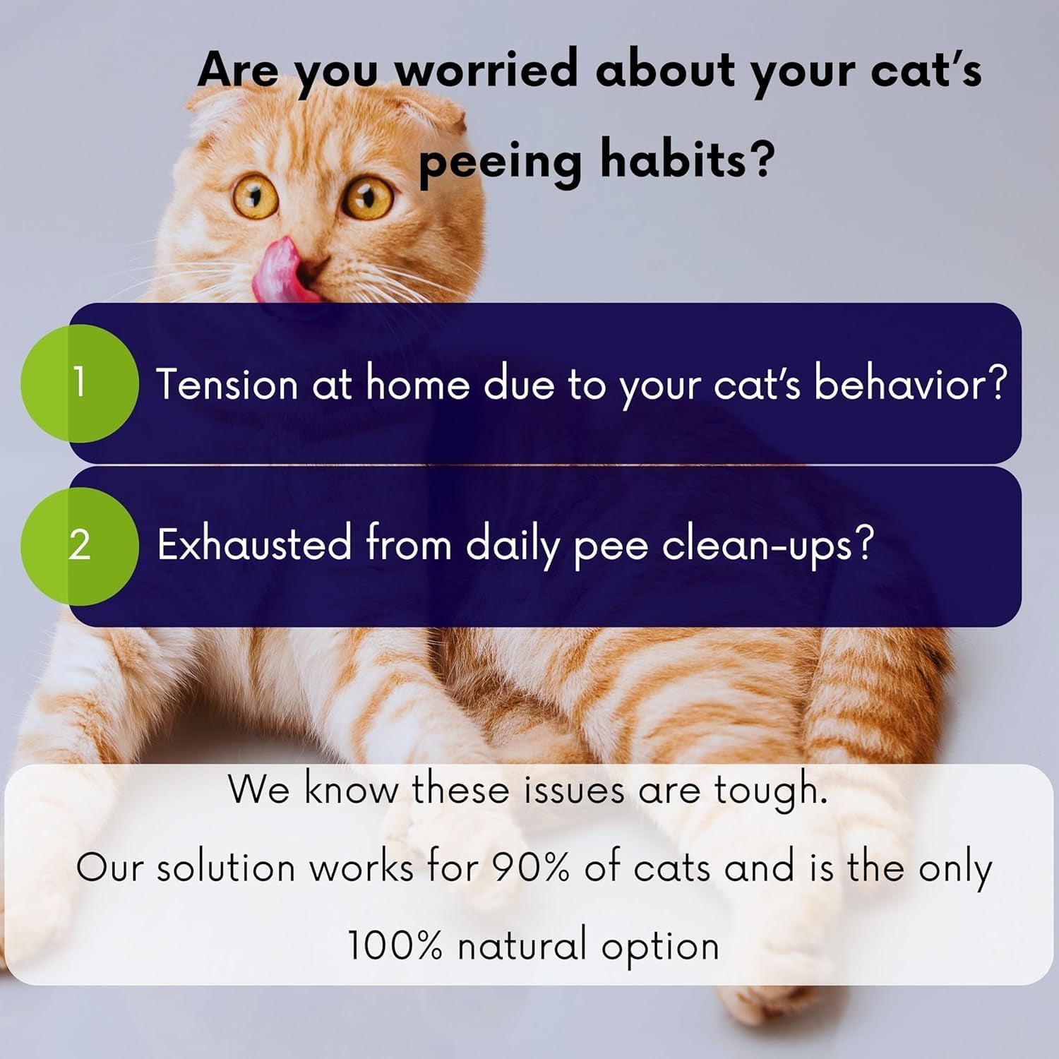 Calming Cat Collar - Vet Approved Pee Deterrent & Anti-Anxiety Relief with Essential Oils