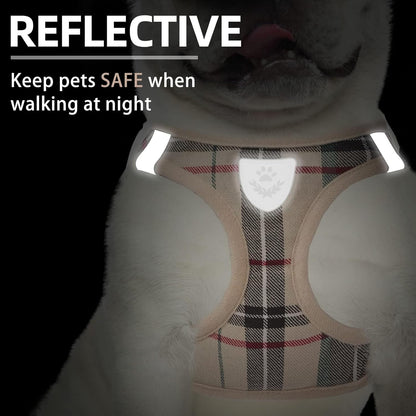 Adjustable Pet Harness Collar &Leash Set Step in for Small Dogs Puppy &Cats Outdoor Training &Running, Soft Mesh Padded Reflective Vest Harness,M: Chest Girth: 16-18In Collar: 11.8-15.7In