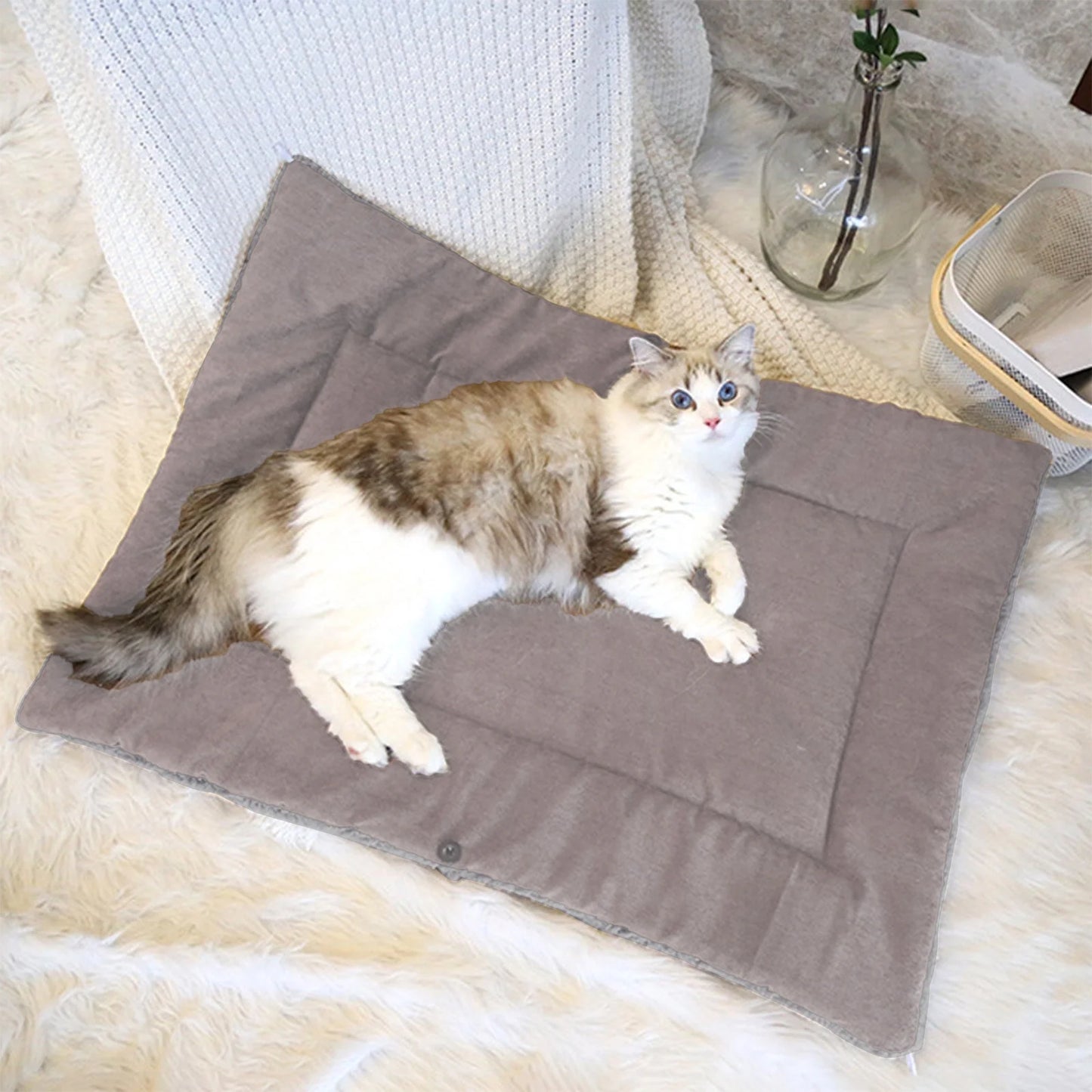 Cat Bed for Indoor, Washable Cave with Self-Warming Plush, Pet Bed for Small Cats & Dogs All Seasons (Gray, 27.56X19.69In)