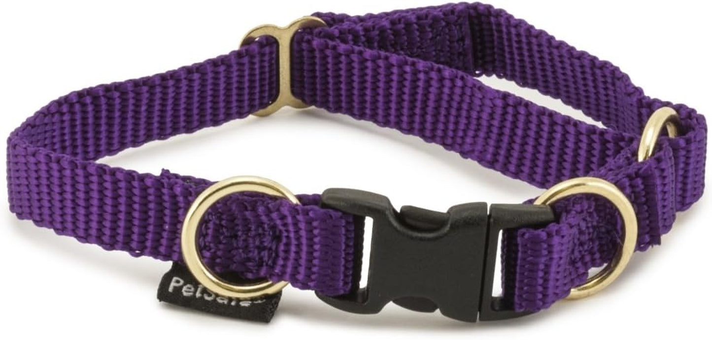 Keepsafe Collar for Dogs - Protects against Collar Accidents - Long Lasting - Durable - Adjustable - Breakaway - Outdoor-Safe - Large - 1 In. Wide - Black