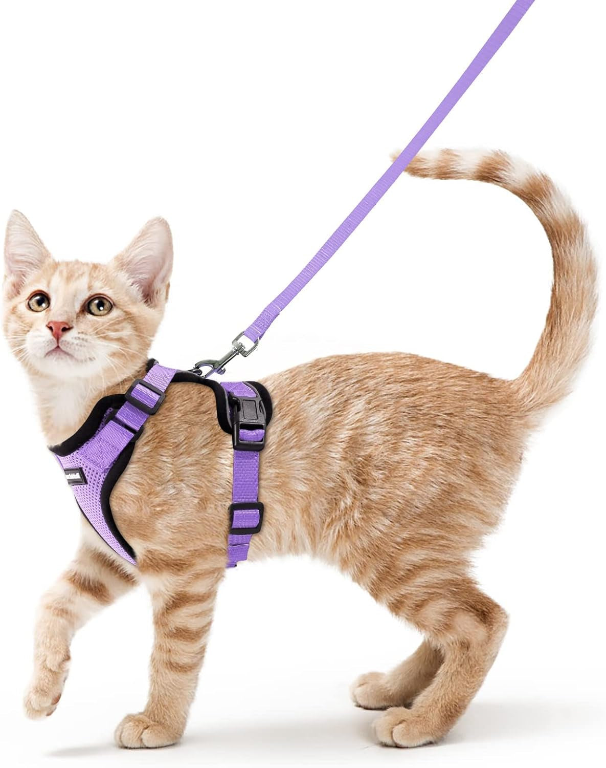 Cat Harness and Leash for Walking, Escape Proof Soft Adjustable Vest Harnesses for Cats, Easy Control Breathable Reflective Strips Jacket, Black, XS