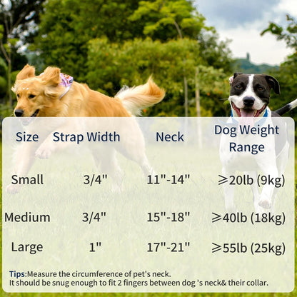| Genuine Leather Dog Collar | Heavy Duty Canvas Dog Collars with Adjustable Rust-Proof Metal Pin Buckle | Boy Dog Collars for Medium Dogs(Pin Buckle-Turquoise Green)