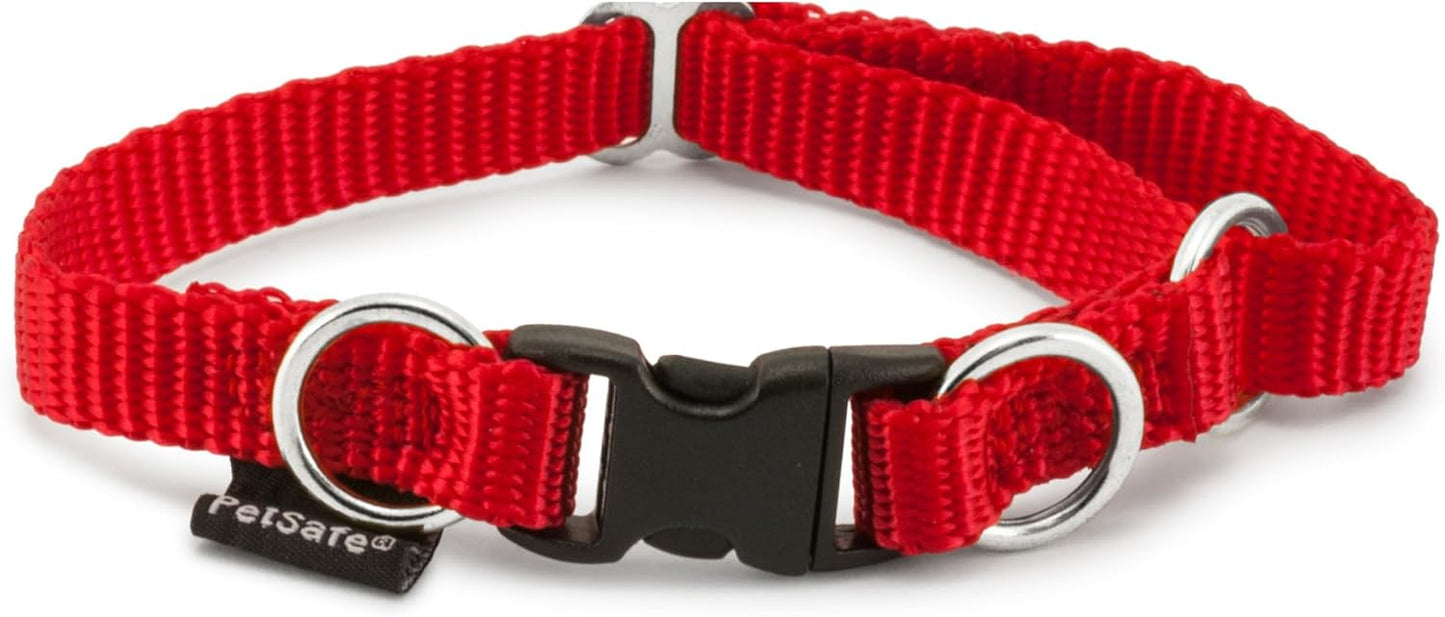 Keepsafe Collar for Dogs - Protects against Collar Accidents - Long Lasting - Durable - Adjustable - Breakaway - Outdoor-Safe - Large - 1 In. Wide - Black