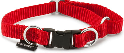 Keepsafe Collar for Dogs - Protects against Collar Accidents - Long Lasting - Durable - Adjustable - Breakaway - Outdoor-Safe - Large - 1 In. Wide - Black