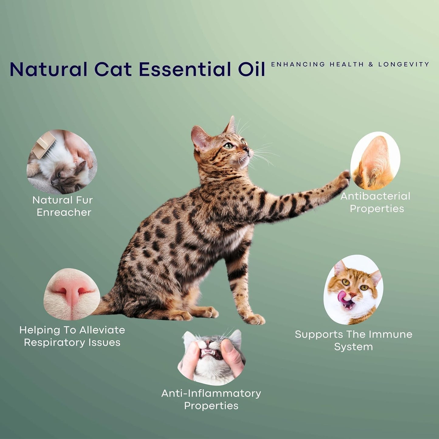 Calming Cat Collar - Vet Approved Pee Deterrent & Anti-Anxiety Relief with Essential Oils