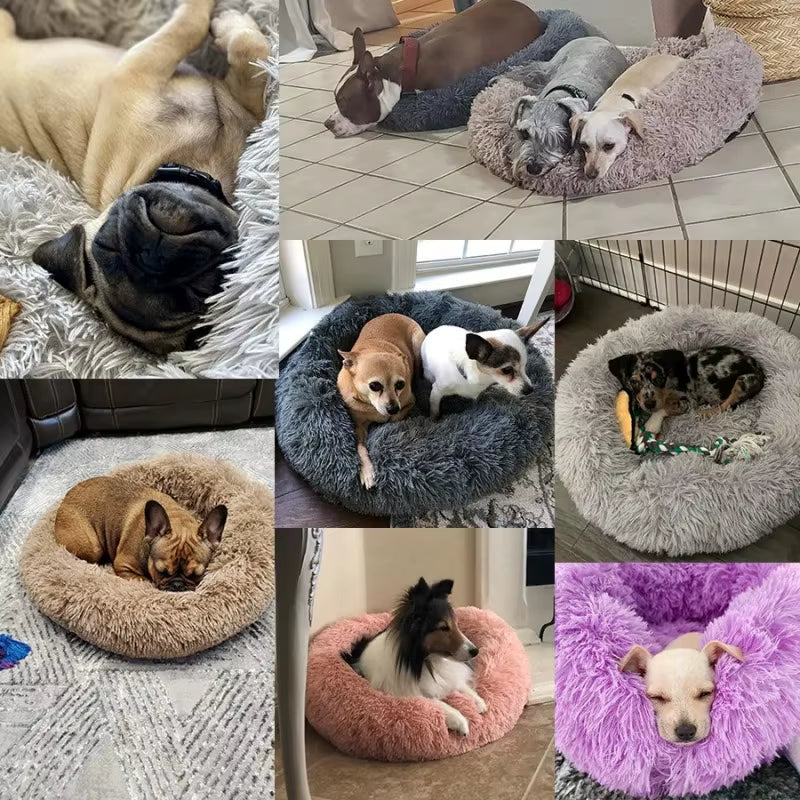 Round Cat Beds House Soft Long Plush Bed for Dogs Basket Pet Products Cushion Cat Bed Cat Mat Sleeping Sofa, Suitable for Winter