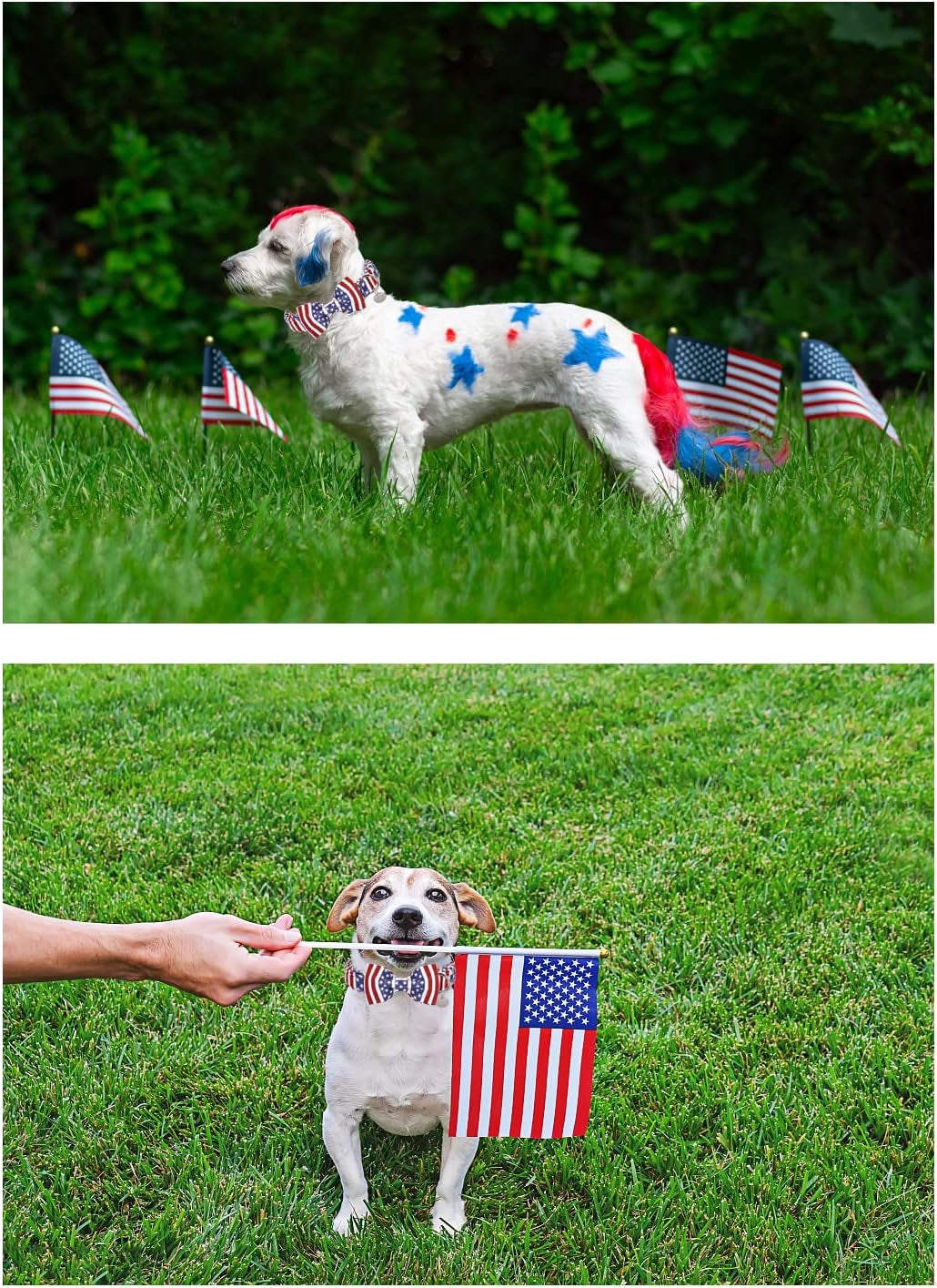 Patriotic Dog Collar with Bow Tie - 4th of July Comfortable Cotton American Flag Design for Large Dogs, Stylish Metal Buckle